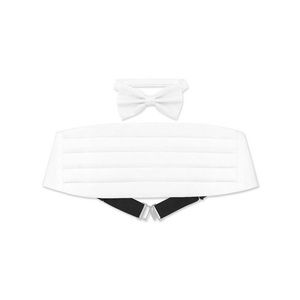 ✨ sale ✨Cummerbund and Bow Tie Set